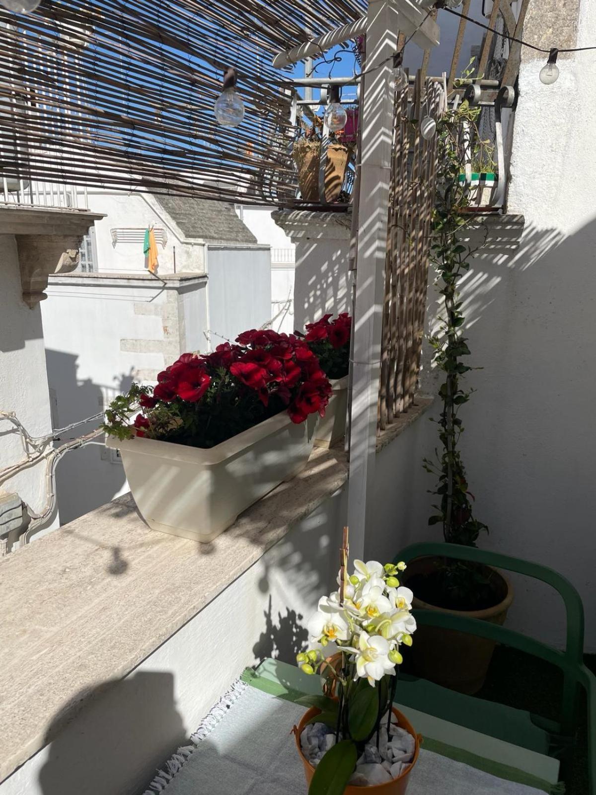 Apartament Casa Del Riccio Nel Centro Storico Martina Franca Zewnętrze zdjęcie